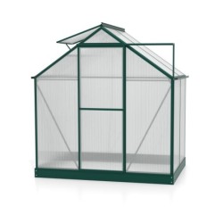 Vitavia Serre de jardin en polycarbonate Vert 2,5m²