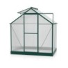 Vitavia Serre de jardin en polycarbonate Vert 2,5m²