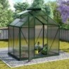 Vitavia Serre de jardin en polycarbonate Vert 2,5m²