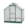 Vitavia Serre de jardin en polycarbonate Vert 5m²