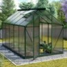 Vitavia Serre de jardin en polycarbonate Vert 6.2m²