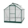 Vitavia Serre de jardin en polycarbonate Vert 6.2m²