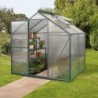 Vitavia Serre de jardin en polycarbonate Vert 2,5m²
