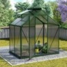 Vitavia Serre de jardin en polycarbonate Vert 2,5m²