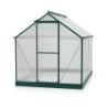 Vitavia Serre de jardin en polycarbonate Vert 5m²