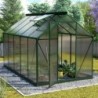 Vitavia Serre de jardin en polycarbonate Vert 6.2m²