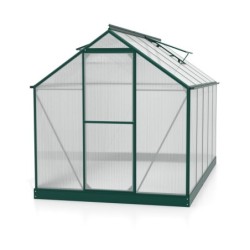 Vitavia Serre de jardin en polycarbonate Vert 6.2m²