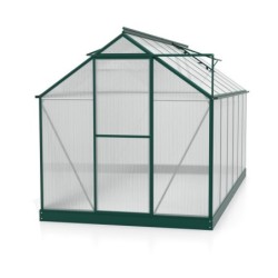 Vitavia Serre de jardin en polycarbonate Vert 7.5m²
