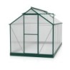 Vitavia Serre de jardin en polycarbonate Vert 7.5m²
