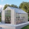 Vitavia Serre de jardin en polycarbonate Gris 9.9m²