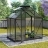 Vitavia Serre de jardin en polycarbonate Noir 2,5m²