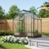 Vitavia Serre de jardin en polycarbonate Noir 2,5m²
