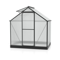 Vitavia Serre de jardin en polycarbonate Noir 2,5m²
