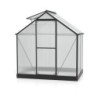 Vitavia Serre de jardin en polycarbonate Noir 2,5m²