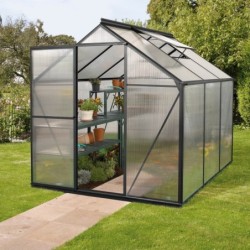 Vitavia Serre de jardin en polycarbonate Noir 3.8m²