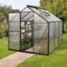 Vitavia Serre de jardin en polycarbonate Noir 3.8m²