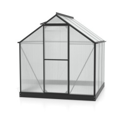 Vitavia Serre de jardin en polycarbonate Noir 3.8m²