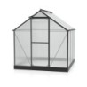 Vitavia Serre de jardin en polycarbonate Noir 3.8m²