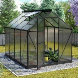 Vitavia Serre de jardin en polycarbonate Noir 5m²