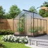 Vitavia Serre de jardin en polycarbonate Noir 5m²