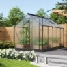 Vitavia Serre de jardin en polycarbonate Noir 6.2m²