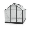 Vitavia Serre de jardin en polycarbonate Noir 6.2m²