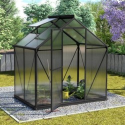 Vitavia Serre de jardin en polycarbonate Noir 2,5m²