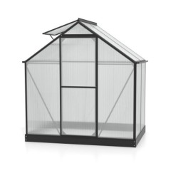 Vitavia Serre de jardin en polycarbonate Noir 2,5m²