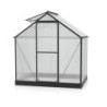 Vitavia Serre de jardin en polycarbonate Noir 2,5m²
