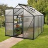 Vitavia Serre de jardin en polycarbonate Noir 3.8m²