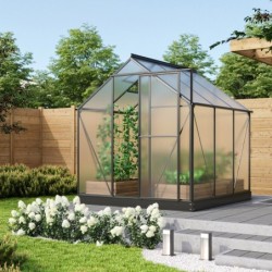 Vitavia Serre de jardin en polycarbonate Noir 3.8m²