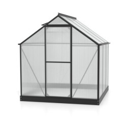 Vitavia Serre de jardin en polycarbonate Noir 3.8m²