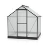 Vitavia Serre de jardin en polycarbonate Noir 3.8m²
