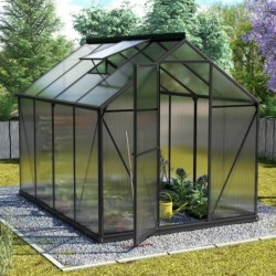 Vitavia Serre de jardin en polycarbonate Noir 5m²