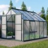 Vitavia Serre de jardin en polycarbonate Vert 8.3m²