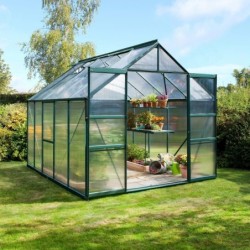 Vitavia Serre de jardin en polycarbonate Vert 8.3m²