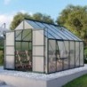 Vitavia Serre de jardin en polycarbonate Vert 9.9m²