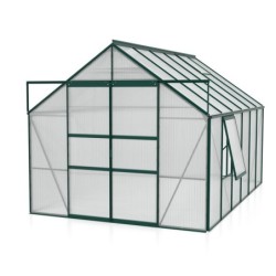 Vitavia Serre de jardin en polycarbonate Vert 9.9m²