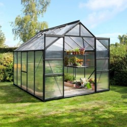 Vitavia Serre de jardin en polycarbonate Noir 8.3m²