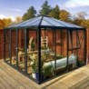 Vitavia Serre de jardin en verre Noir 10.2m²