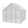 Vitavia Serre de jardin en polycarbonate Gris 8.3m²
