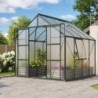 Vitavia Serre de jardin en polycarbonate Vert 6.7m²