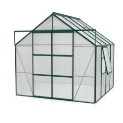 Vitavia Serre de jardin en polycarbonate Vert 6.7m²