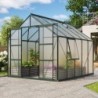 Vitavia Serre de jardin en polycarbonate Vert 8.3m²