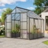 Vitavia Serre de jardin en polycarbonate Noir 6.7m²