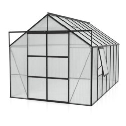 Vitavia Serre de jardin en polycarbonate Noir 11.5m²