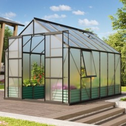 Vitavia Serre de jardin en polycarbonate Noir 9.9m²