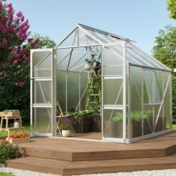 Vitavia Serre de jardin en polycarbonate Gris 6.7m²