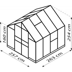 Vitavia Serre de jardin en polycarbonate Vert 6.7m²