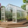 Vitavia Serre de jardin en polycarbonate Gris 11.5m²